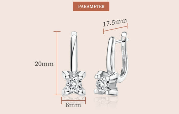Moissanite Earrings Silver
