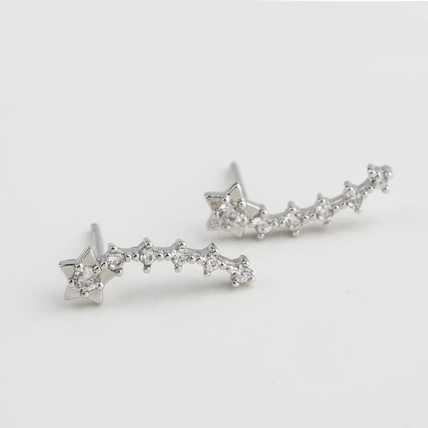 Silver Stud Earrings